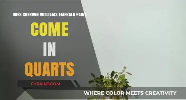 Emerald Paint by Sherwin-Williams: Quart Options?