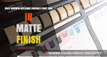 Sherwin Williams Emerald Paint: Matte Finish Options