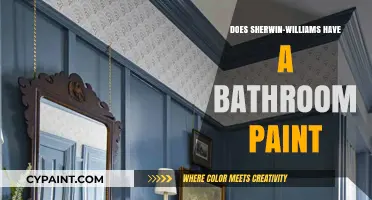 Sherwin-Williams Bathroom Paint: Best Options for Moisture Resistance
