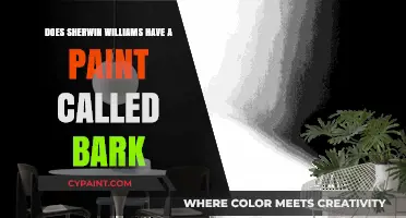 Sherwin Williams Bark Paint: The Perfect Shade?