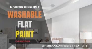 Sherwin-Williams: Washable Flat Paint Options