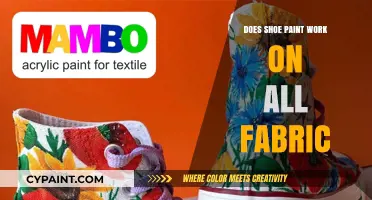 Can Shoe Paint Transform Any Fabric? A Comprehensive Guide