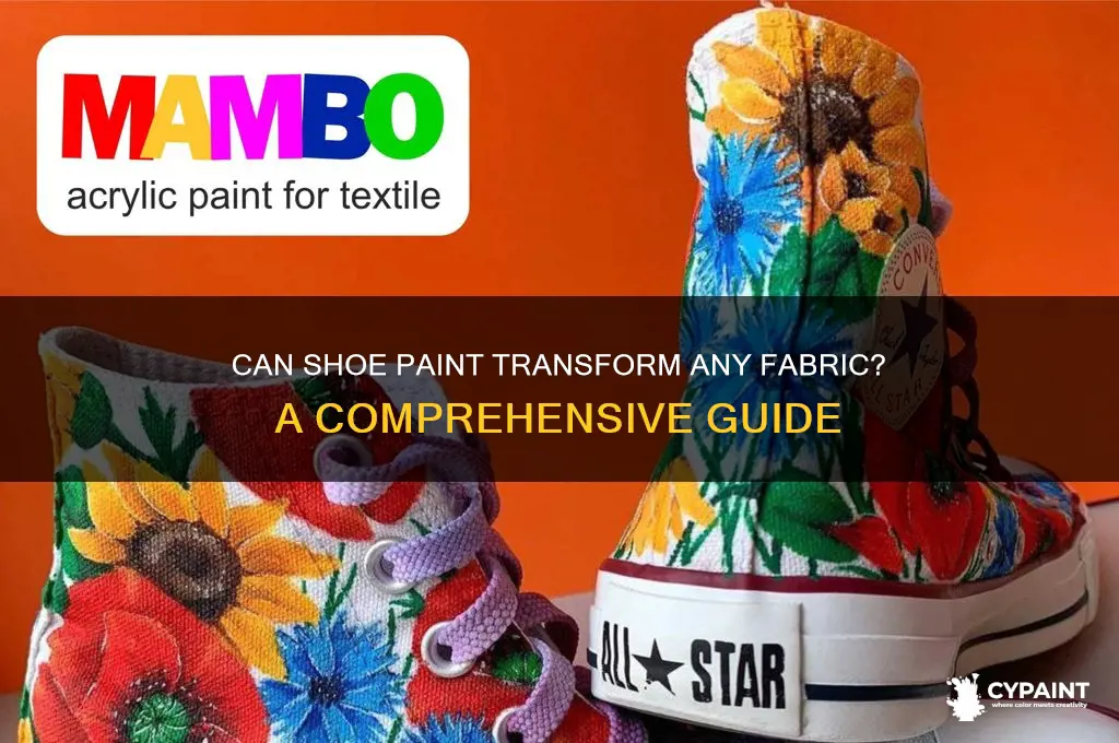 does shoe paint work on all fabric
