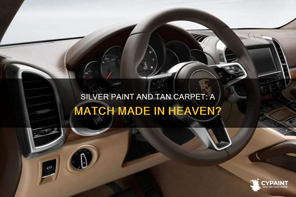 does silver paint and tan carpet go together