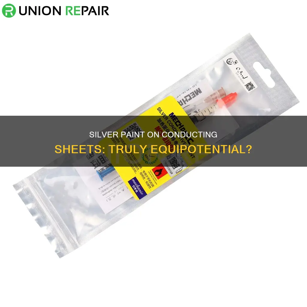 does silver paint on conducting sheet form an equipotential