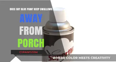 Sky Blue Porch Paint: Keeping Swallows Away?