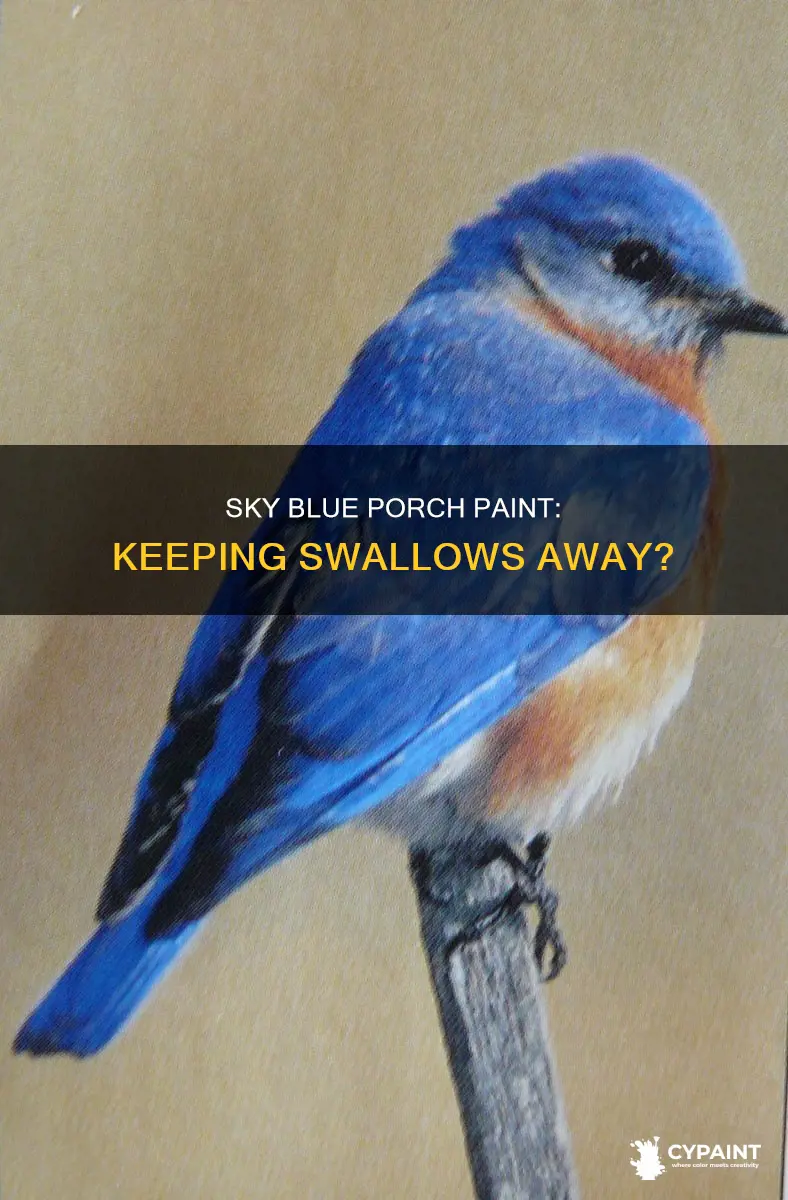 does sky blue paint keep swallows away from porch