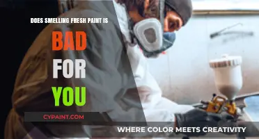 Is Fresh Paint Smell Harmful to Health?