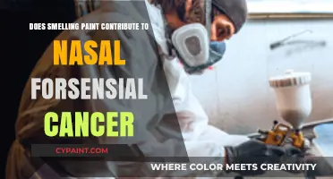 Paint Fumes: A Risk Factor for Nasal Cancer?