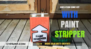 Can Paint Stripper Remove Stains? A Comprehensive Guide to Cleaning Surfaces