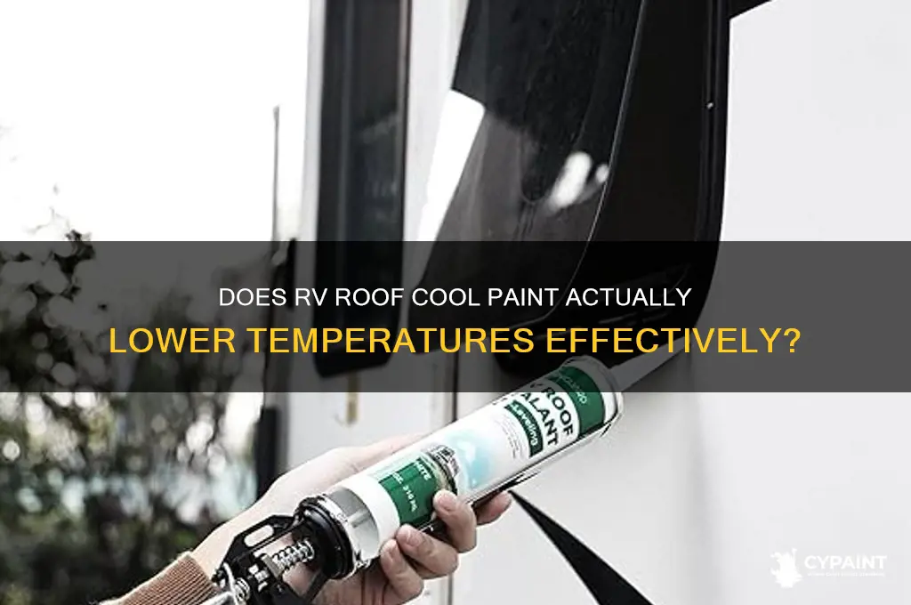 does stay cool paint on a rv roof really work