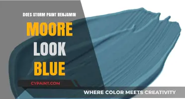 Does Storm Paint by Benjamin Moore Have a Blue Hue?