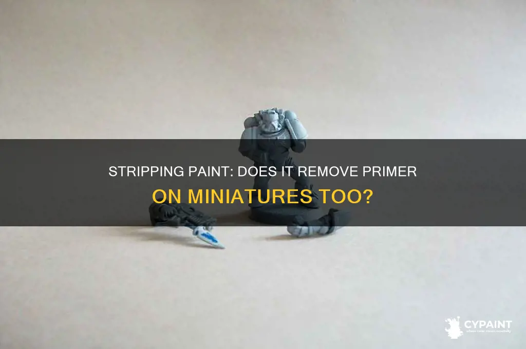 does stripping paint also strip primer minis