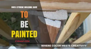 Styrene Molding: Painting Necessity or Optional Finish?