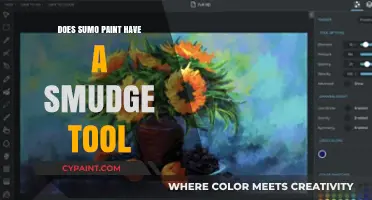 Sumo Paint Smudge Tool: Does It Exist and How to Use It?