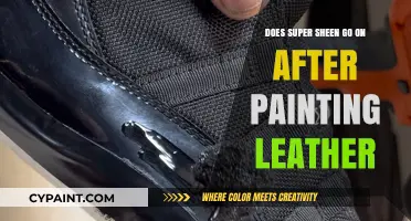Super Sheen: The Finishing Touch for Painted Leather