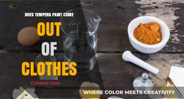 How to Remove Tempera Paint Stains from Clothes: A Complete Guide