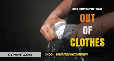 How to Remove Tempera Paint Stains from Clothes: A Complete Guide