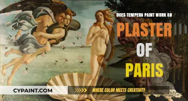 Tempera Paint on Plaster of Paris: Does it Work?