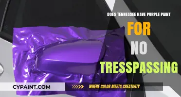 Tennessee's Purple Paint Law: A Trespassing Solution?