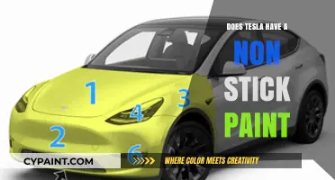 Does Tesla Use Non-Stick Paint? Exploring the Coating Technology