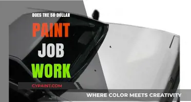 Budget-Friendly Car Makeover: Is the $50 Paint Job Worth It?