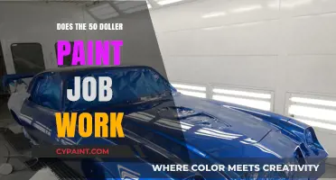Is a $50 Paint Job Worth It? Our Honest Review
