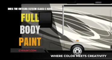 Entegra Esteem Class C: Full Body Paint Options Explained