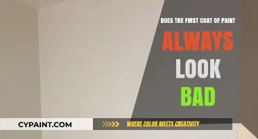 First Coats: Why They Often Look Bad