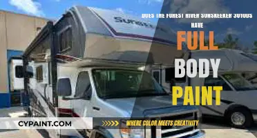Forest River Sunseeker 3010DS: Full Body Paint Option Explained