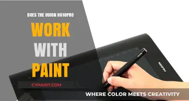 Huion H610PRO and Paint: Compatibility and Performance Explained