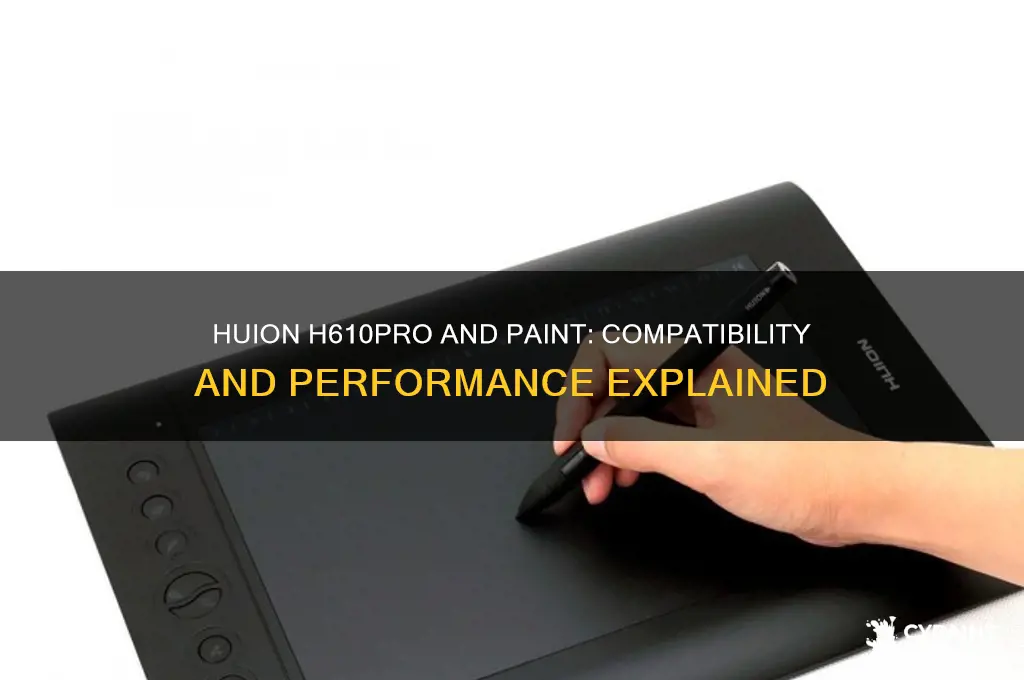 does the huion h610pro work with paint