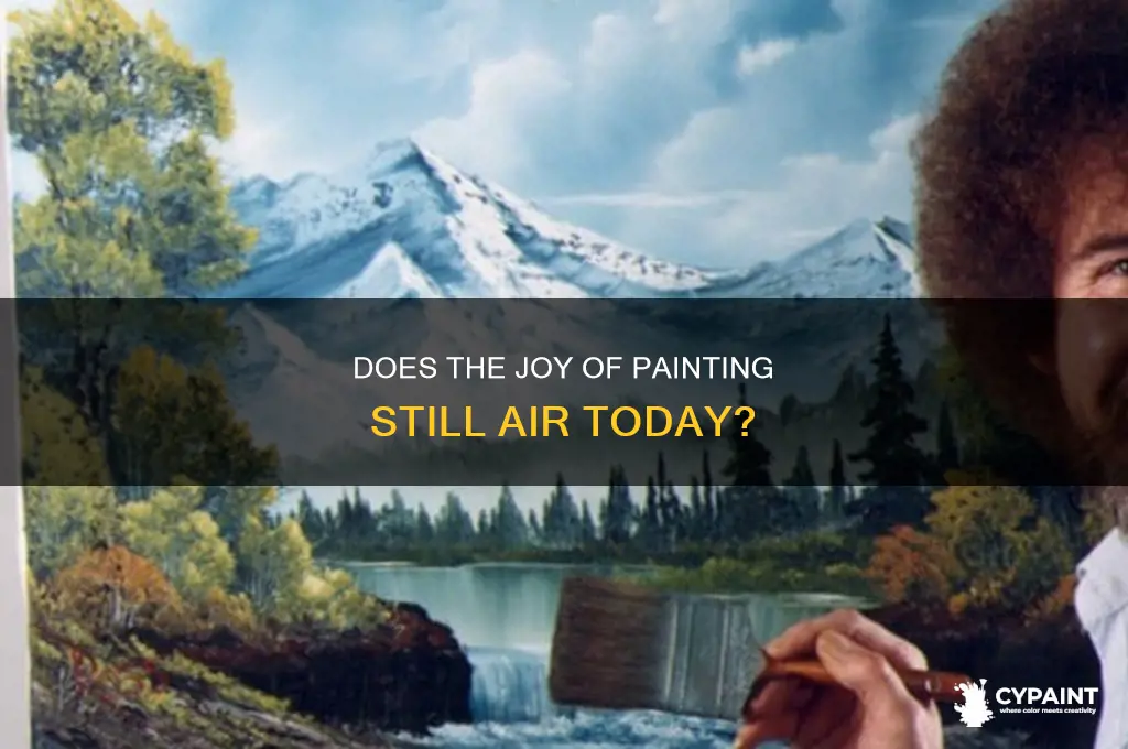 does the joy of painting still air
