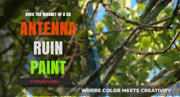 Magnet's Strength: Can It Damage Car Paint?