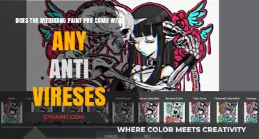 Medibang Paint Pro: Does It Include Anti-Virus Protection?