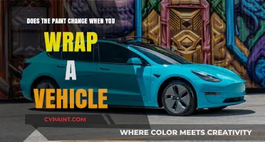 Vehicle Wrapping: Paint Transformation Without the Paint