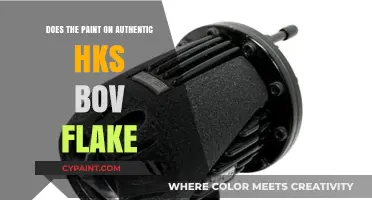 HKS BOV: Paint Flaking Issues?