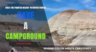 Camping at the Painted Desert Petrified Forest