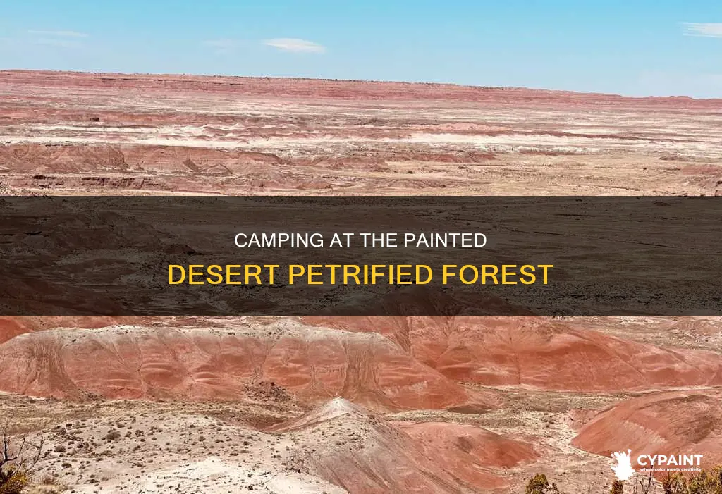 does the painted desert petrified forest have a campground