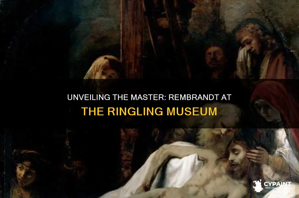 does the ringling museum have a rembrandt painting