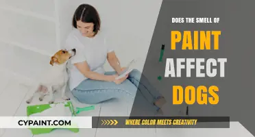 Can Paint Fumes Harm Dogs? Understanding the Risks of Paint Smell
