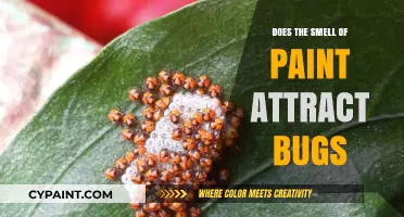 Does Paint Smell Attract Bugs? Uncovering the Surprising Truth
