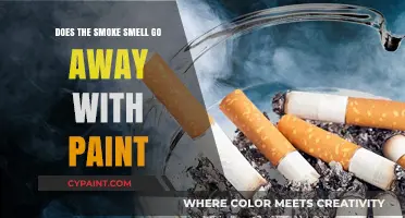 How to Remove Cigarette Odor with Paint