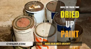 Can Dried Paint Be Thrown in the Trash? Disposal Tips