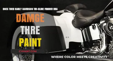 Harley-Davidson Tri-Glide: Fender Bra Paint Damage Concerns Explored