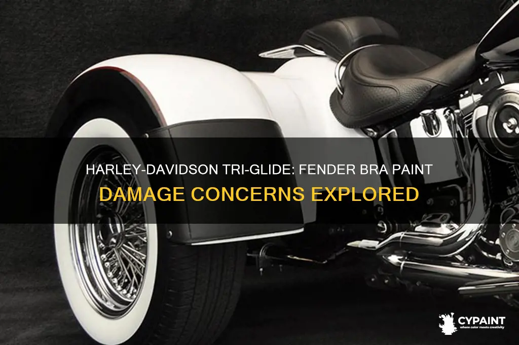 does thed harly davidson tri-glide frnder bra damge thre paint