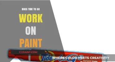 Does Tide To Go Remove Paint Stains? A Quick Test Revealed