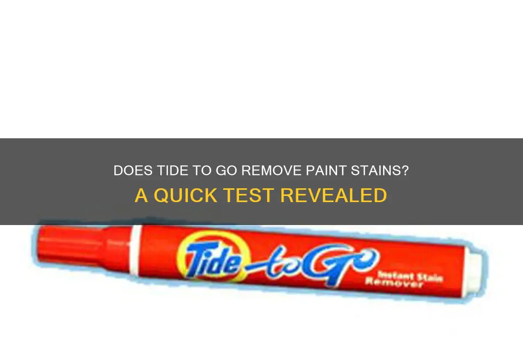 does tide to go work on paint