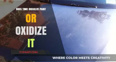 Time's Impact: Does It Dissolve Paint or Cause Oxidation?