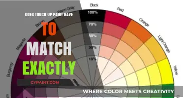 Touch-Up Paint: Does an Exact Match Matter?